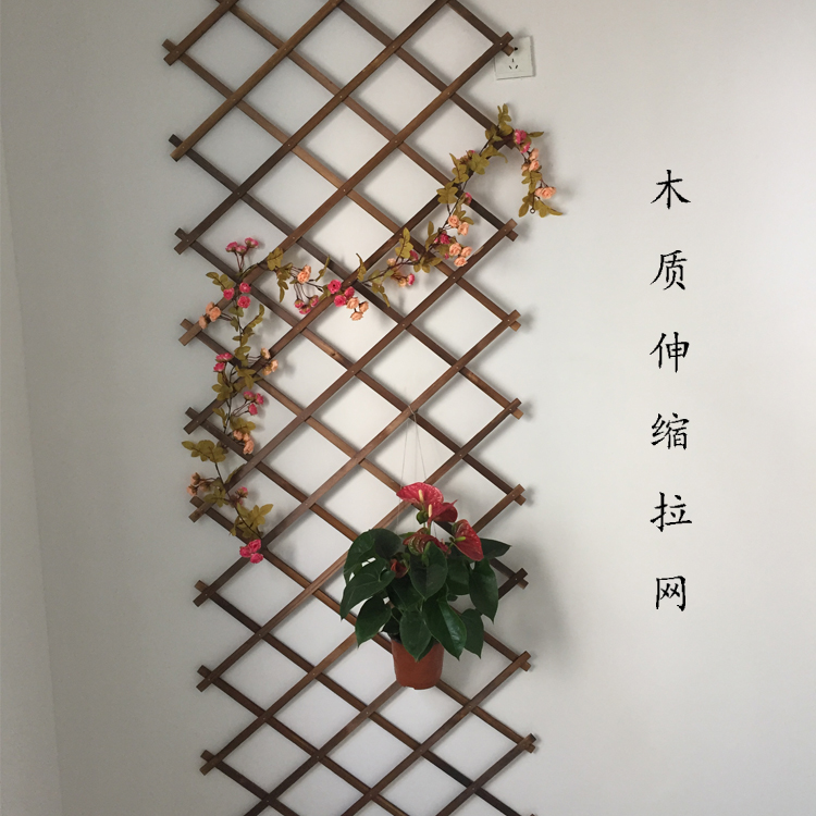 爬藤架墙面花架栅栏篱笆墙伸缩木拉网攀爬架网格花架户外墙面装饰在类目 鲜花速递/花卉仿真/绿植园艺, 园艺用品, 大型篱笆/栅栏中 - 来自Buy2taobao.com提供专业的淘宝代购服务