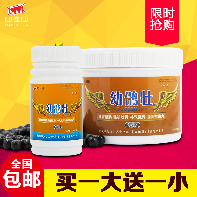 心连心鸽药赛鸽信鸽子药品鸟用品幼鸽生长营养丸幼鸽壮体丸|msdalam kategori haiwan peliharaan/makanan haiwan dan bekalan, Burung dan bekalan, makanan burung - dari Buy2taobao.com untuk memberikan perkhidmatan ejen Taobao profesional membeli