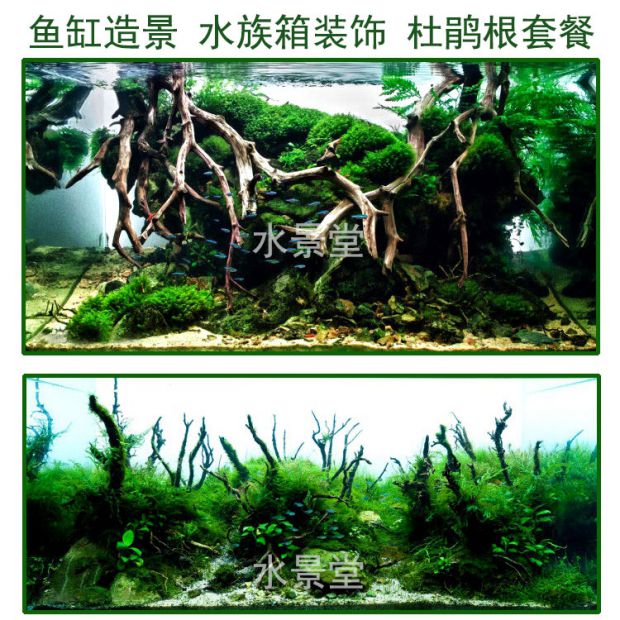 杜鹃根沉木套餐造景草坪风鱼缸水景造景鱼缸花草水箱装饰造景植物在类目 宠物/宠物食品及用品, 水族世界, 鱼缸等水族设备, 水草中 - 来自Buy2taobao.com提供专业的淘宝代购服务