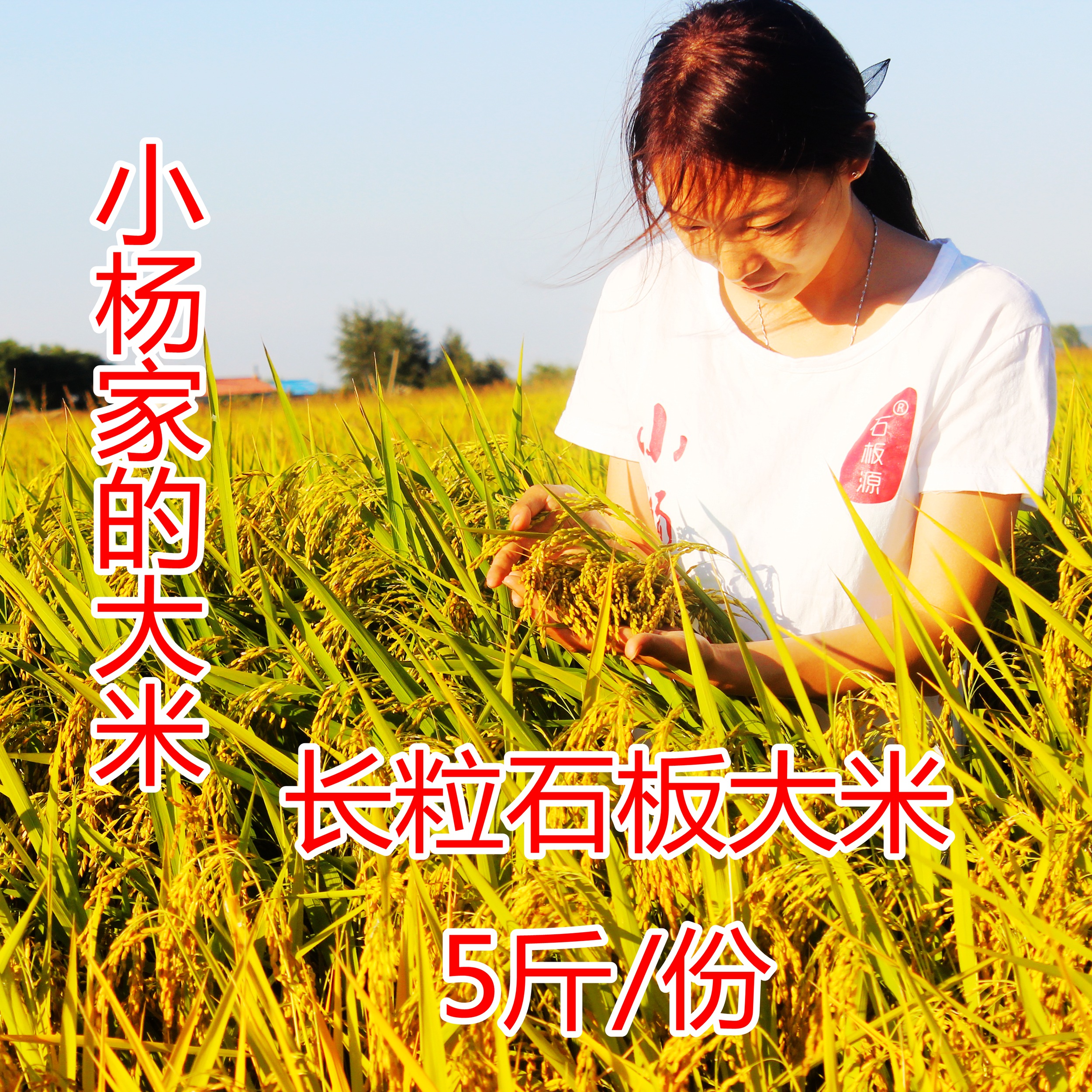 2018年黑龙江石板源长粒中晚熟响水大米新米 5斤非稻花香|ruв категории зерно риса/север и Юг сухих грузов/приправы, метров/муки/зерновые, метров в категории, рис - от Buy2taobao.com для оказания профессиональной услуги покупки агента Taobao
