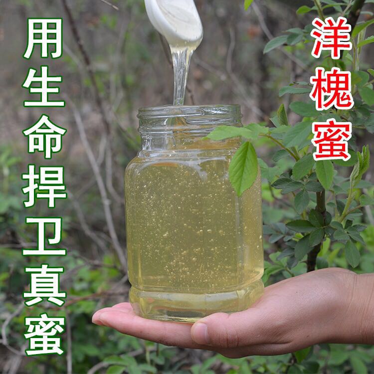 娥眉土蜂蜜农家自产 野生百花 槐花 枸杞 野枣 结晶土蜜500克包邮|ruв категории традиционные питательный пища, мед - от Buy2taobao.com для оказания профессиональной услуги покупки агента Taobao