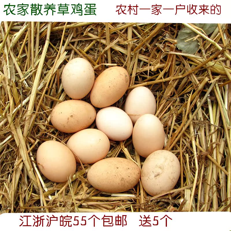 农家散养新鲜土鸡蛋 草鸡蛋 柴鸡蛋 笨鸡蛋 孕妇宝宝月子蛋在类目 水产肉类/新鲜蔬果/熟食, 蛋/蛋制品, 鲜活蛋类, 鸡蛋中 - 来自Buy2taobao.com提供专业的淘宝代购服务