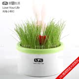 创意 时尚 办公达品 LYL自动感应LED夜光七彩情侣兔绿色盆栽