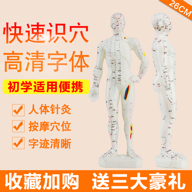华佗高清针灸穴位人体模型全身经络医用小人中医经脉教学血位人模|ruв категории ОТК лекарств/медицинское оборудование/МФПР товаров, медицинских принадлежностей, иглоукалывание и прижигание приборов - от Buy2taobao.com для оказания профессиональной услуги покупки агента Taobao