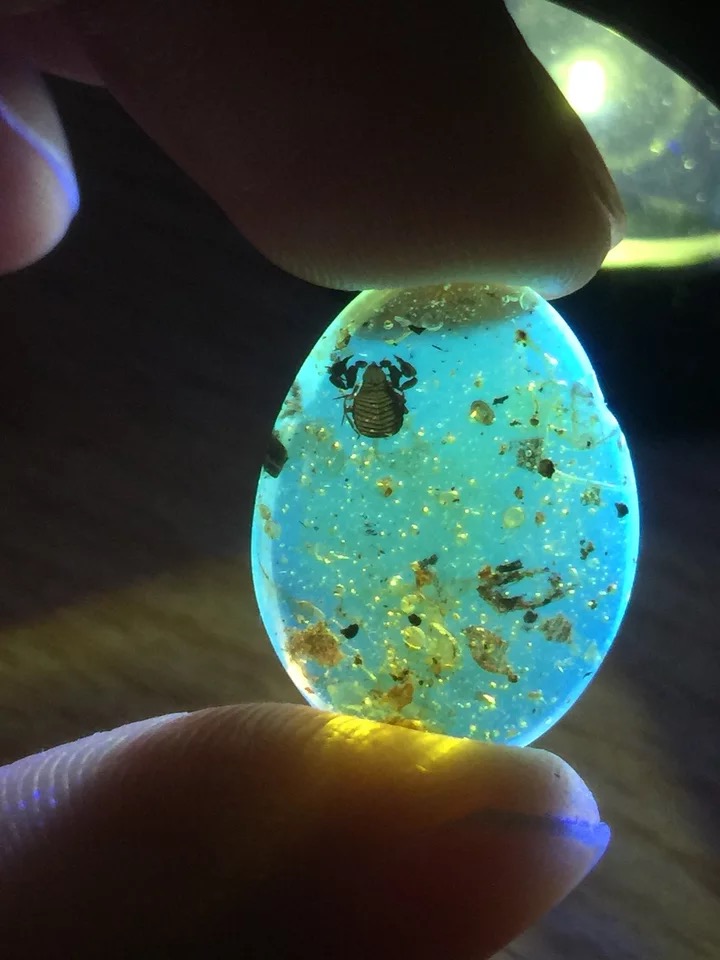 天然琥珀 緬甸琥珀 蟲珀 擬蠍 僞蠍在類目 珠寶/鑽石/翡翠/黃金, 天然琥珀(新), 其他中 - 來自Buy2taobao.com提供專業的淘寶代購服務