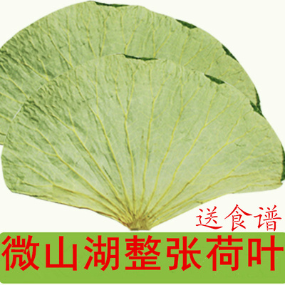 荷叶茶干荷叶整张干荷叶片整张荷叶冬瓜荷叶茶整张荷叶新品500克