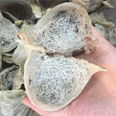 越南野生洞燕岛燕毛燕金丝燕会安芽庄庆和燕窝龙舌盏半山燕每克价