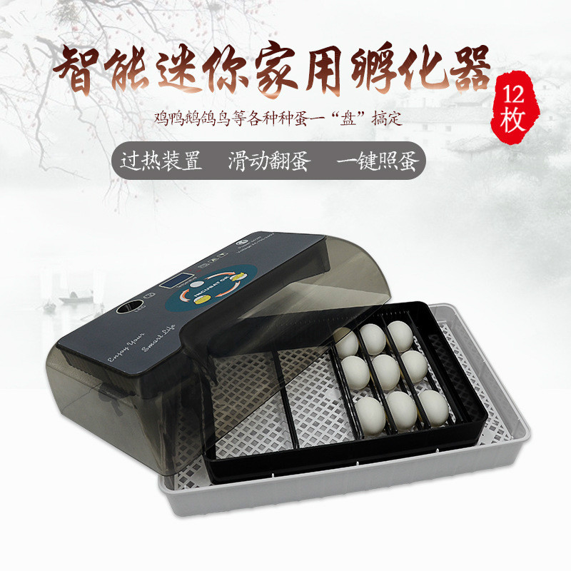 Hua Tuo 12 Incubator Egg incubation fully automatic Household Incubators small-scale intelligence chick Incubatorin the Hardware/Tool , Instrumentation , Electric Tools category - from Buy2taobao.com to provide professional Taobao agent buy service
