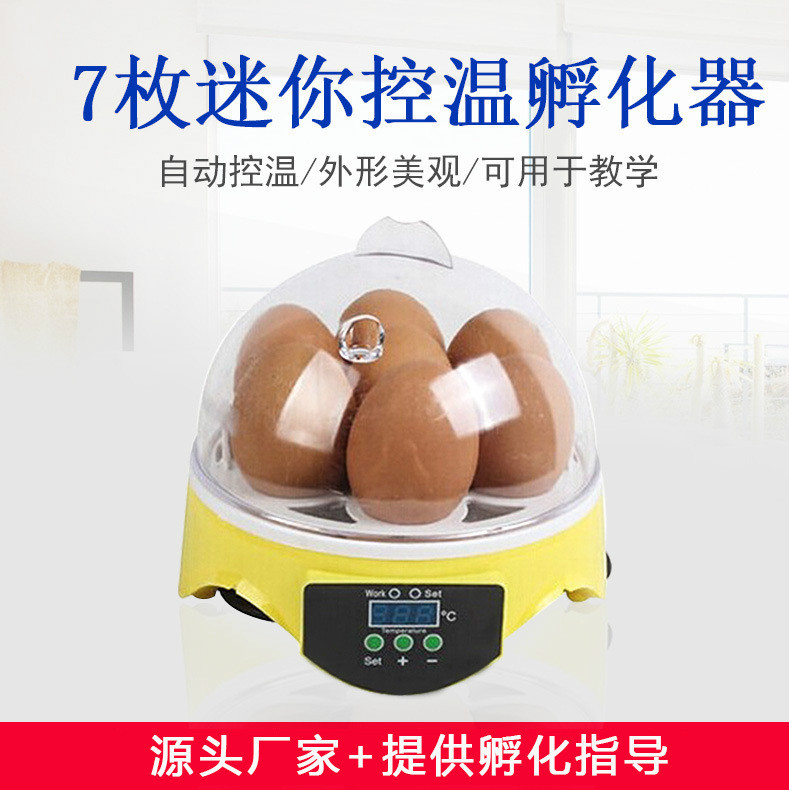 Hua Tuo Incubators small-scale household fully automatic intelligence Incubators chick Incubator water bed Duck and goose Pigeon eggsin the Hardware/Tool , Instrumentation , Electric Tools category - from Buy2taobao.com to provide professional Taobao agent buy service