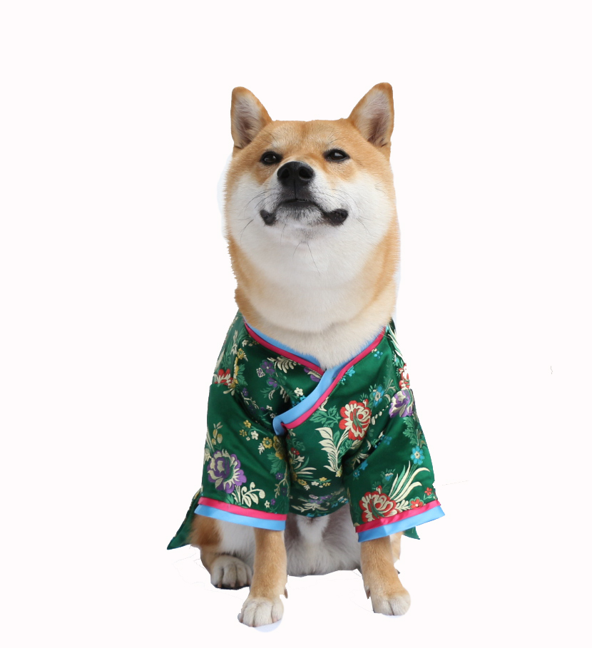 独家设计柴犬柯基贵宾宠物狗狗结婚礼服中式婚礼唐装汉服可定制|msdalam kategori haiwan peliharaan/makanan haiwan dan bekalan, Haiwan pakaian dan aksesori, pakaian/Supplies adat (baru), haiwan pakaian - dari Buy2taobao.com untuk memberikan perkhidmatan ejen Taobao profesional membeli