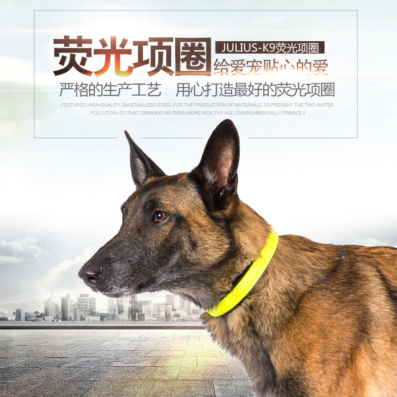 Julius K9宠物项圈狗项圈荧光皮革脖圈欧洲进口金毛在类目 宠物/宠物食品及用品, 猫/狗日用品, 项圈中 - 来自Buy2taobao.com提供专业的淘宝代购服务