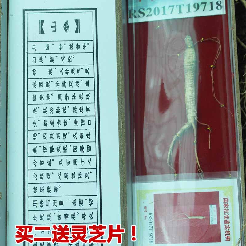 Wild ginseng gift Northeast Changbai Mountain Ginseng Gift box Meet the Senate Mountain ginseng certificatein the Traditional nourishing food , Ginseng tonic , Ginseng/Garden ginseng category - from Buy2taobao.com to provide professional Taobao agent buy service