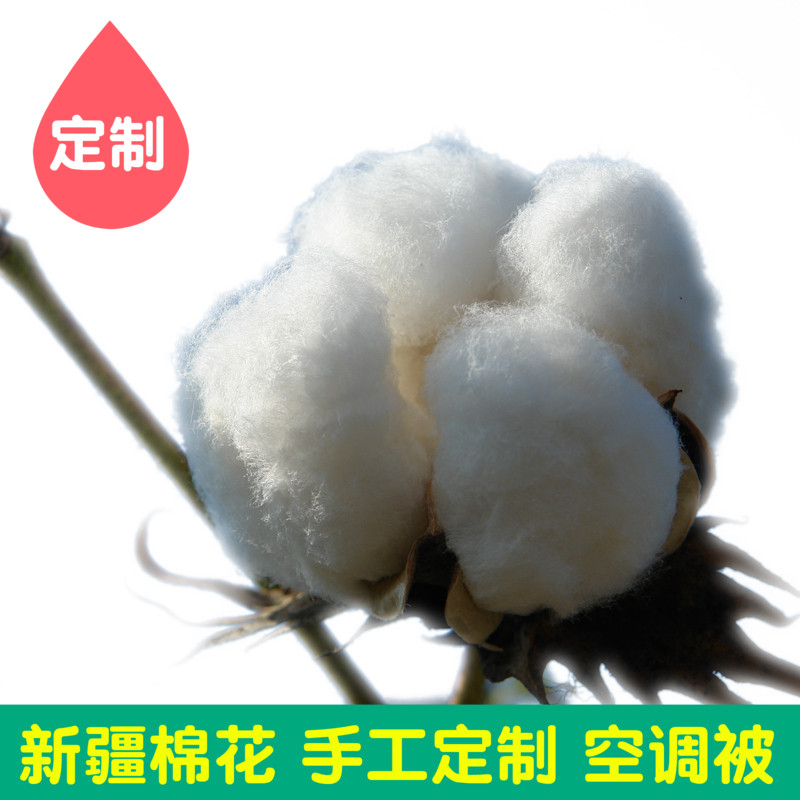 新疆兵团正宗长绒棉第七师锦牌当季新棉花棉絮皮棉原棉29长度可做|ruв категории постельные принадлежности, другие - от Buy2taobao.com для оказания профессиональной услуги покупки агента Taobao