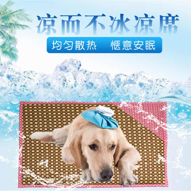 夏天海绵凉席 狗狗泰迪猫咪舒适清凉用品 两面两用宠物草席凉席垫在类目 宠物/宠物食品及用品, 猫/狗日用品, 窝/屋/帐篷中 - 来自Buy2taobao.com提供专业的淘宝代购服务