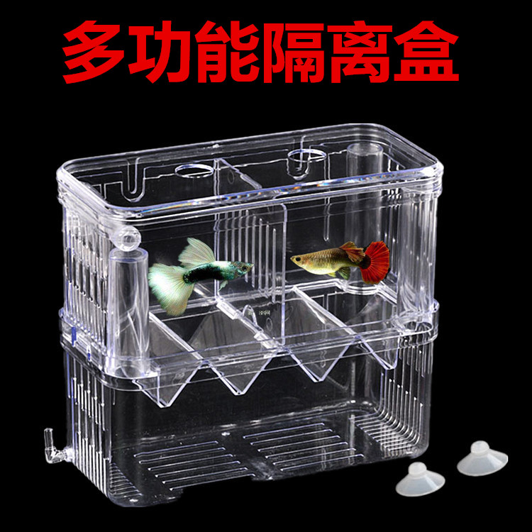 Guppy Multiplication Fry Incubator fish tank Isolation Box Guppy Incubation Box Tropical Fish Small fishin the Pet/Pet food and supplies , Aqua World , Aquarium fish tanks and other equipment , Incubator category - from Buy2taobao.com to provide professional Taobao agent buy service