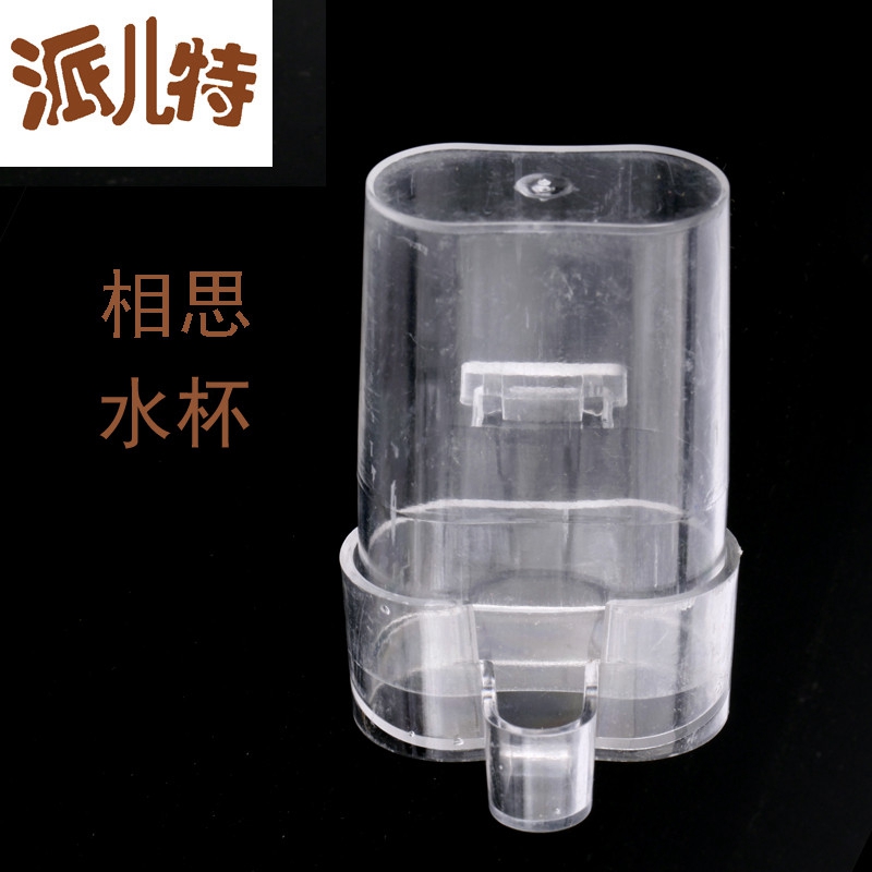小孖杯 相思繡眼金絲雀金青 飲水器 自動喂水喂食器 全國熱銷在類目 寵物/寵物食品及用品, 鳥類及用品, 鳥用具(新), 餵食器中 - 來自Buy2taobao.com提供專業的淘寶代購服務