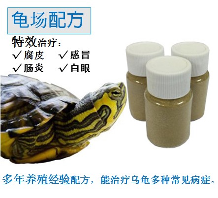水龟乌龟白眼石龟巴西草龟肠胃炎腐皮浮水感冒肺炎粉乌龟活体专用|msdalam kategori haiwan peliharaan/makanan haiwan dan bekalan, Aquarium World, penyu/penyu - dari Buy2taobao.com untuk memberikan perkhidmatan ejen Taobao profesional membeli
