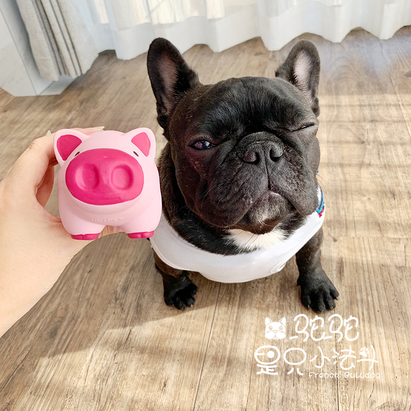 驼驼家 宠物可爱小猪发声玩具猫狗玩具斗牛巴哥柯基幼犬成犬|msdalam kategori haiwan peliharaan/makanan haiwan dan bekalan, Cat/Mainan anjing, mainan bunyi - dari Buy2taobao.com untuk memberikan perkhidmatan ejen Taobao profesional membeli