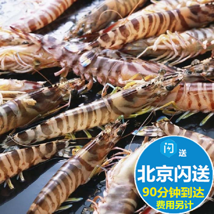 鲜活基围虾 海白虾九节虾竹节虾海虾海鲜明虾500g北京满额闪送在类目 水产肉类/新鲜蔬果/熟食, 海鲜/水产品/制品, 虾类, 活虾中 - 来自Buy2taobao.com提供专业的淘宝代购服务