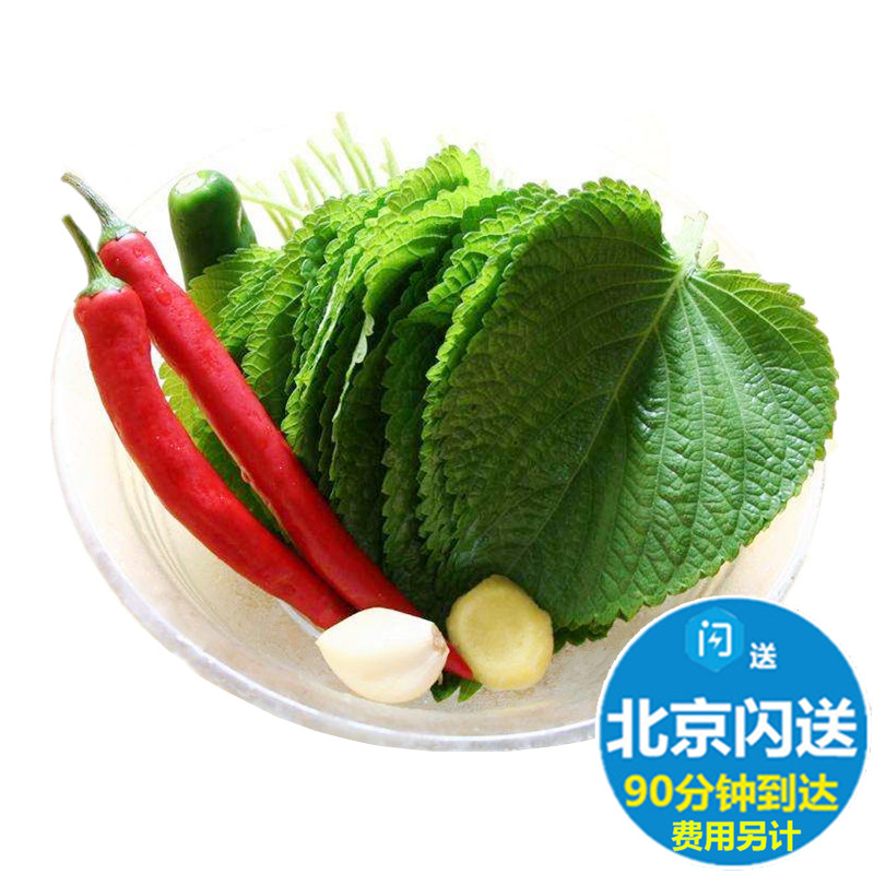新鲜紫苏叶 苏子叶 日本料理寿司叶日式大叶 只能日料刺身用在类目 水产肉类/新鲜蔬果/熟食, 新鲜蔬菜/蔬菜制品, 新鲜蔬菜, 其它中 - 来自Buy2taobao.com提供专业的淘宝代购服务