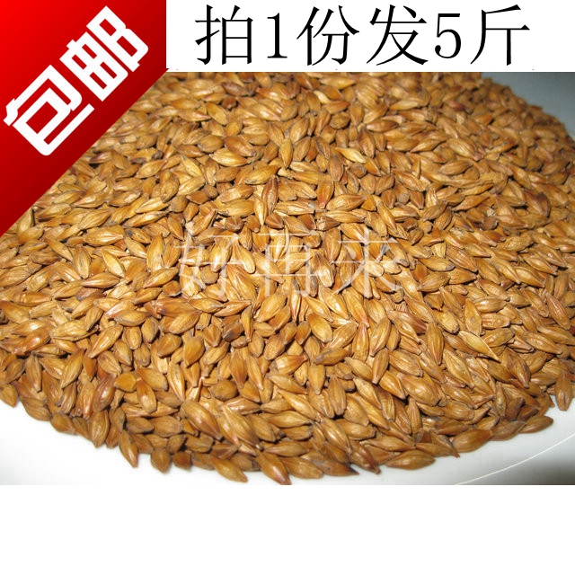 20 Element 5 pounds Barley selected bulk 2.5kg Original flavor baking Appetizer Greasiness Special Offerin the Tea , Replacement/Flowers/Fruit/Tea reprocessing , Replacement/Herbal Tea category - from Buy2taobao.com to provide professional Taobao agent buy service