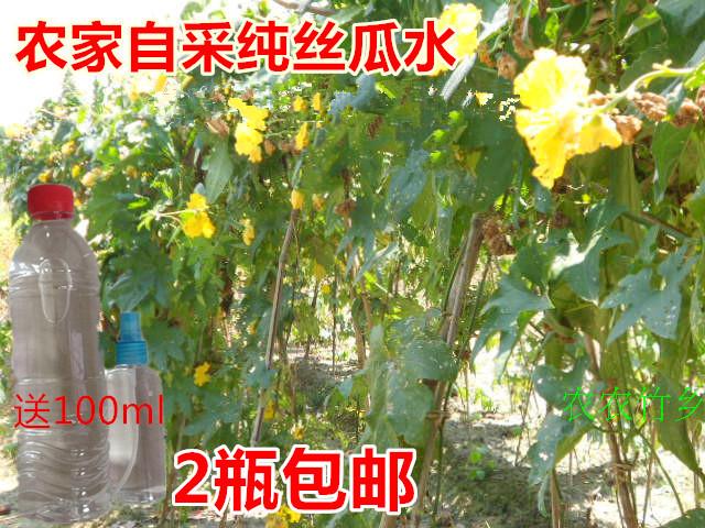 農家自采純天然絲瓜水 菜瓜水爽膚水 喝的絲瓜水送100ml在類目 美容護膚/美體/精油, 化妝水/爽膚水中 - 來自Buy2taobao.com提供專業的淘寶代購服務