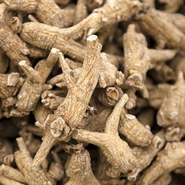 Ginseng American Ginseng Imported Chicken feet Ginseng American ginseng segment section 250g gram 280 elementin the Traditional nourishing food , Ginseng tonic , American ginseng category - from Buy2taobao.com to provide professional Taobao agent buy service