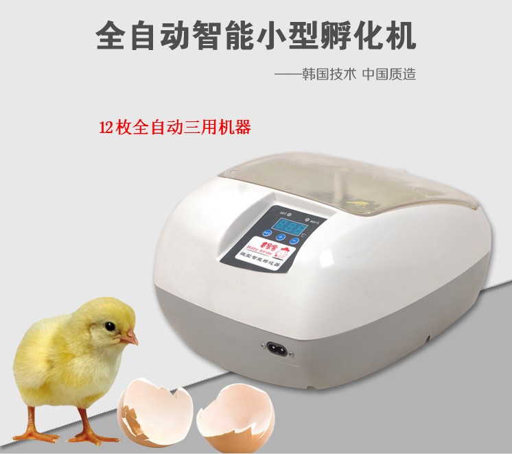 孵化机孵蛋器全自动小型家用孵化器鸡蛋鸭鹅鸽子孔雀孵化箱设备12|msdalam kategori perkakasan/alat, instrumen, Peralatan elektrik - dari Buy2taobao.com untuk memberikan perkhidmatan ejen Taobao profesional membeli