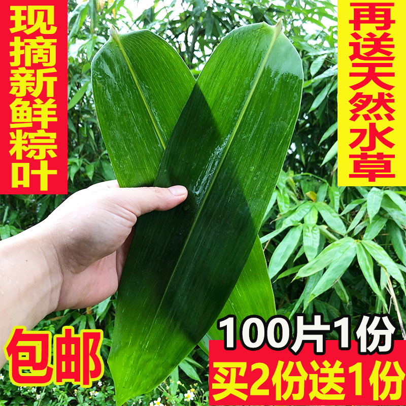 fresh Zongye Zongzi leaf Free Post Go wild New Leaf Large Zongye natural Zongzi leaf Brown leafin the Agri rice/Dried foods/Condiment , Dried foods/Meat Dry , Dry/Native , Other category - from Buy2taobao.com to provide professional Taobao agent buy service