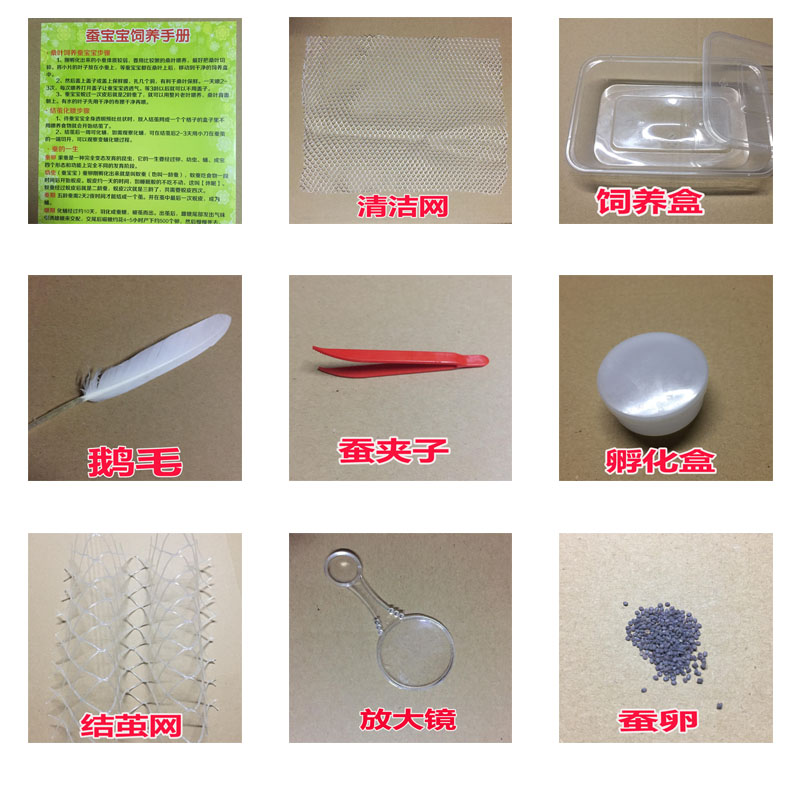 小蠶寶寶專用工具結繭網 清理網上山結繭工具 結繭桑葉 吐絲 包郵在類目 寵物/寵物食品及用品, 爬蟲/鳴蟲及其用品, 蠶寶寶中 - 來自Buy2taobao.com提供專業的淘寶代購服務