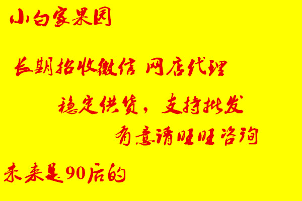 小白自家果园补差价专用,杏太婆梨苹果水果可大量批发供货招代理在类目 水产肉类/新鲜蔬果/熟食, 新鲜水果, 苹果中 - 来自Buy2taobao.com提供专业的淘宝代购服务