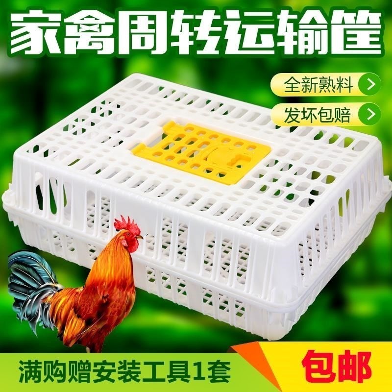 肉鸡框朔料装鸡鸭子的塑料鸭笼大号运输鸡笼笼子成鸡周转箱活鸡筐在类目 玩具/童车/益智/积木/模型, 电子/发光/充气/整蛊玩具, 塑料充气玩具(其他材质勿放)中 - 来自Buy2taobao.com提供专业的淘宝代购服务