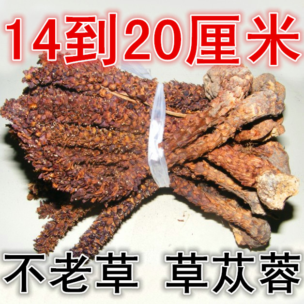 new goods Daxinganling Drying Chinese herbal medicine Bu Laocao Corn Boschniakia Broomrape Paojiu material 14-20 centimeterin the Traditional nourishing food , Other traditional tonic , Bu Laocao category - from Buy2taobao.com to provide professional Taobao agent buy service