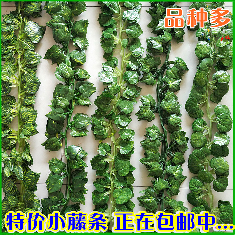 仿真爬山虎葡萄叶装饰藤条吊顶树叶假花绿植绿叶壁挂管道装饰包邮|ruв категории доставка цветов/цветок моделирования/растения садоводства, искусственные цветы/растения/фрукты и овощи готовой продукции (новая), моделирование растения - от Buy2taobao.com для оказания профессиональной услуги покупки агента Taobao