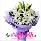 四川成都自贡攀枝花泸州德阳绵阳广元遂宁内江乐山南充眉山鲜花店
