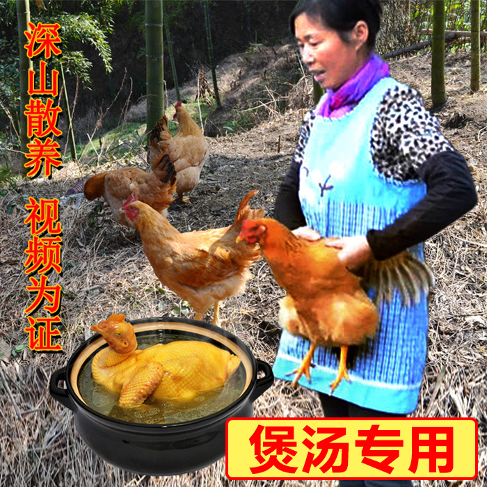 正宗土雞農家散養2年老母雞安吉竹林雞走地雞江浙滬買2只包郵順豐在類目 水產肉類/新鮮蔬果/熟食, 生肉/肉製品, 雞肉類, 整雞中 - 來自Buy2taobao.com提供專業的淘寶代購服務