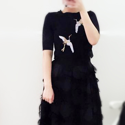 2018韩版刺绣仙鹤圆领套头薄款短款修身短袖打底上衣针织衫T恤女