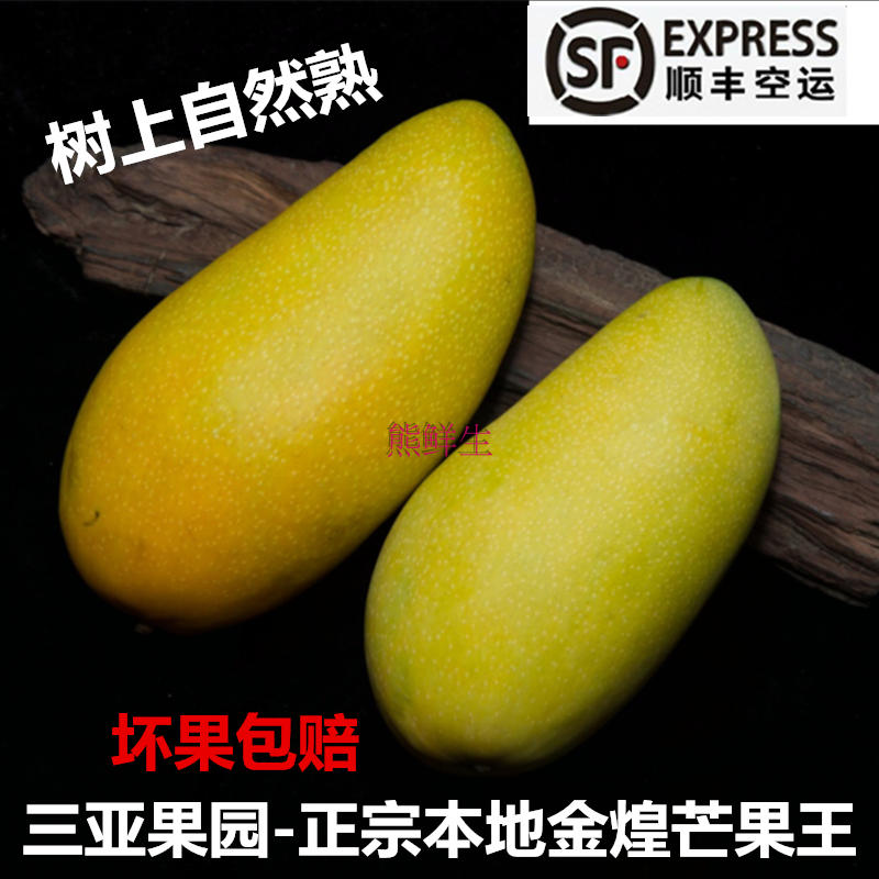 树上熟三亚金煌芒5斤 海南新鲜水果 芒果王 果园现摘现发顺丰包邮在类目 水产肉类/新鲜蔬果/熟食, 新鲜水果, 芒果中 - 来自Buy2taobao.com提供专业的淘宝代购服务