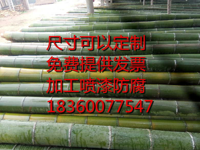 包邮粗竹竿野生老毛竹 竹筒 毛竹竹子 竹竿 竹片 竹条 新鲜结实|msdalam kategori penghantaran bunga/bunga simulasi/tumbuhan berkebun, Gardening Supplies, pagar besar/pagar - dari Buy2taobao.com untuk memberikan perkhidmatan ejen Taobao profesional membeli