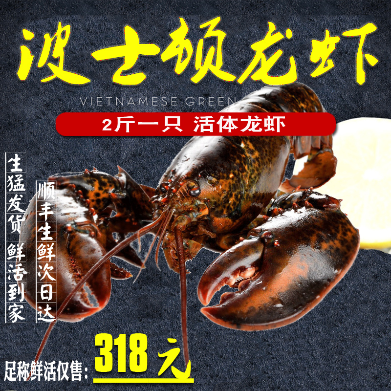 【2斤/只】波士頓龍蝦奧龍蝦加拿大龍蝦鮮活龍蝦生猛龍蝦海鮮水産在類目 水產肉類/新鮮蔬果/熟食, 海鮮/水產品/製品, 蝦類, 活蝦中 - 來自Buy2taobao.com提供專業的淘寶代購服務