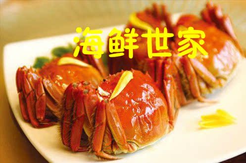 六月黄大闸蟹公母螃蟹鲜活现货包邮在类目 水产肉类/新鲜蔬果/熟食, 海鲜/水产品/制品, 蟹类, 蟹类制品中 - 来自Buy2taobao.com提供专业的淘宝代购服务