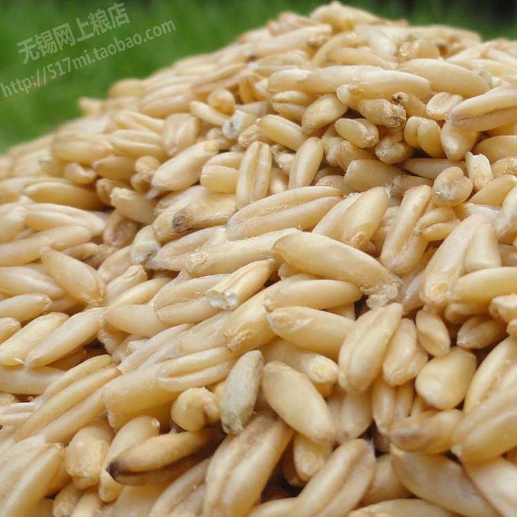 优质燕麦米500g 燕麦仁 野麦 雀麦 农家自产燕麦在类目 粮油米面/南北干货/调味品, 米/面粉/杂粮, 其它粮食中 - 来自Buy2taobao.com提供专业的淘宝代购服务
