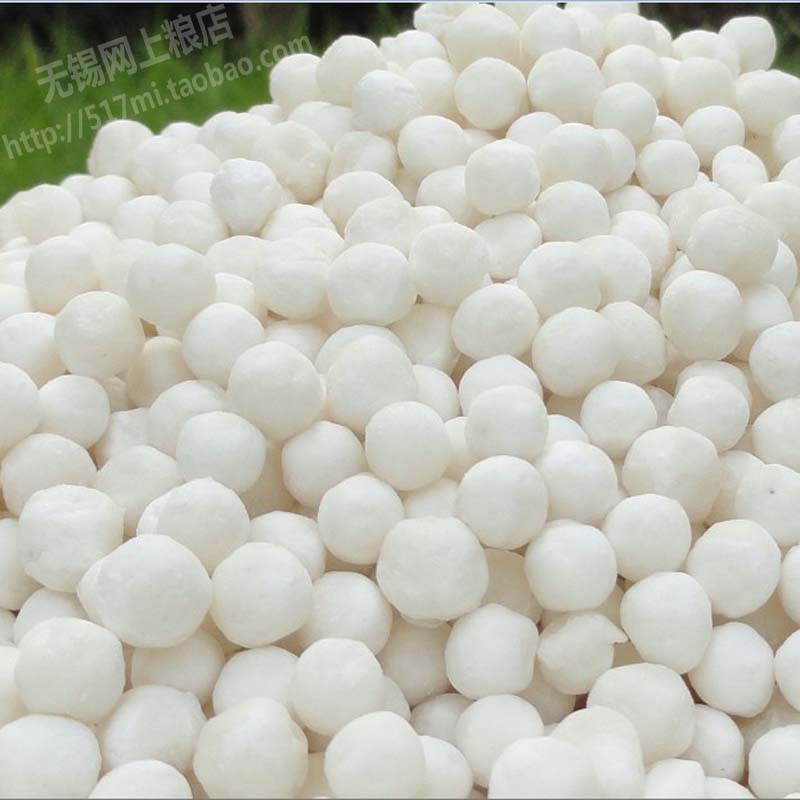 【大西米】优质泰国大西米500g 西谷米 西米露原料(多吃杂粮)|ruв категории зерно риса/север и Юг сухих грузов/приправы, метров/муки/зерновые, Другие зерна - от Buy2taobao.com для оказания профессиональной услуги покупки агента Taobao