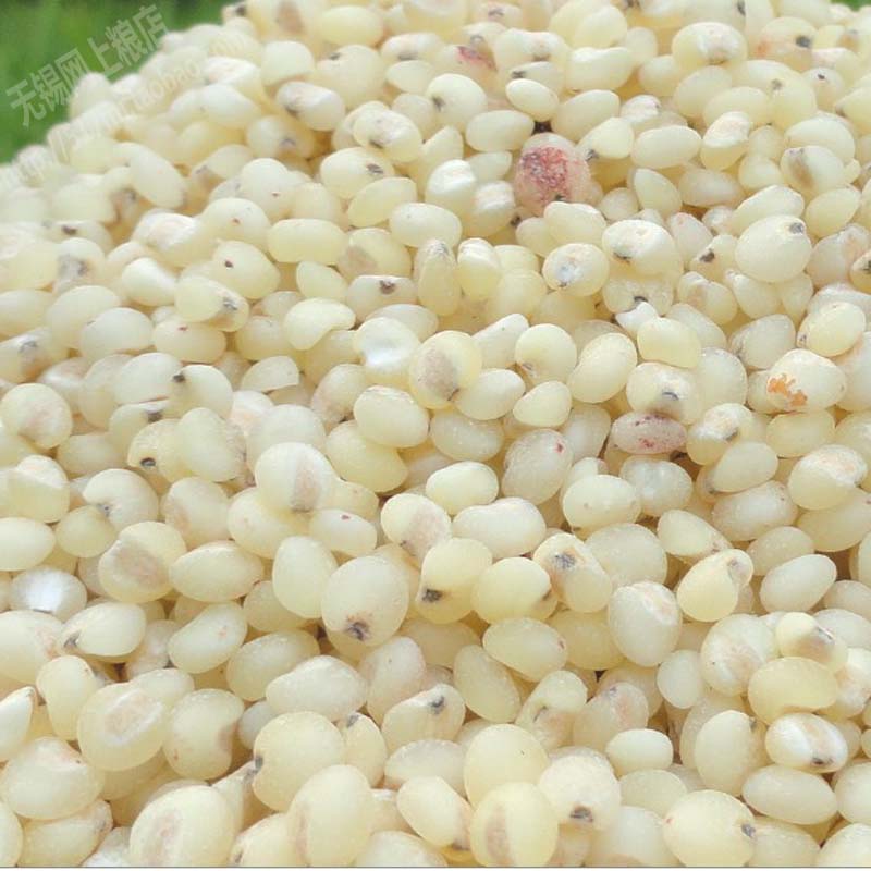 东北高粱米500g (多吃杂粮*身体健康)无锡网上粮店|msdalam kategori beras/Utara-Selatan barangan kering/perasa, meter/tepung/bijirin, makanan lain - dari Buy2taobao.com untuk memberikan perkhidmatan ejen Taobao profesional membeli