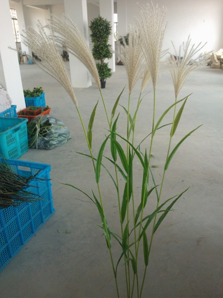 仿真濕地綠植春秋色小蘆葦葉單枝蘆葦花幹花落地假花裝飾搭配零售在類目 家居飾品, 花瓶/花器/仿真花/仿真飾品, 仿真花/假花中 - 來自Buy2taobao.com提供專業的淘寶代購服務