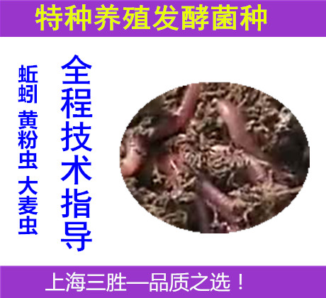 糞便發酵劑em菌種養殖蚯蚓無菌蠅蛆大麥蟲黃粉蟲甲殼蟲 防病增産在類目 畜牧/養殖物資, 飼料, 飼料添加劑中 - 來自Buy2taobao.com提供專業的淘寶代購服務