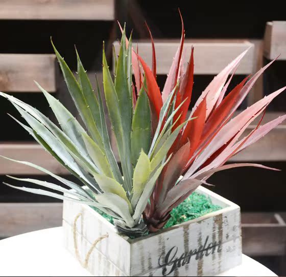 simulation Succulent Jianye Sharp aloe simulation Tropical Plants Succulent plants Man-made Botany Plasticin the Home accessories , Vase/Flower/Artificial flowers/Imitation jewelry , Bonsai plant simulation category - from Buy2taobao.com to provide professional Taobao agent buy service