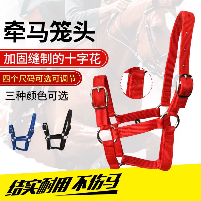 馬具馬術用品牽引馬籠頭虧本特價調教牽馬龍頭龍套包郵馬籠套沖量在類目 運動/瑜伽/健身/球迷用品, 馬術運動, 馬匹裝備, 牽馬/調教龍頭中 - 來自Buy2taobao.com提供專業的淘寶代購服務