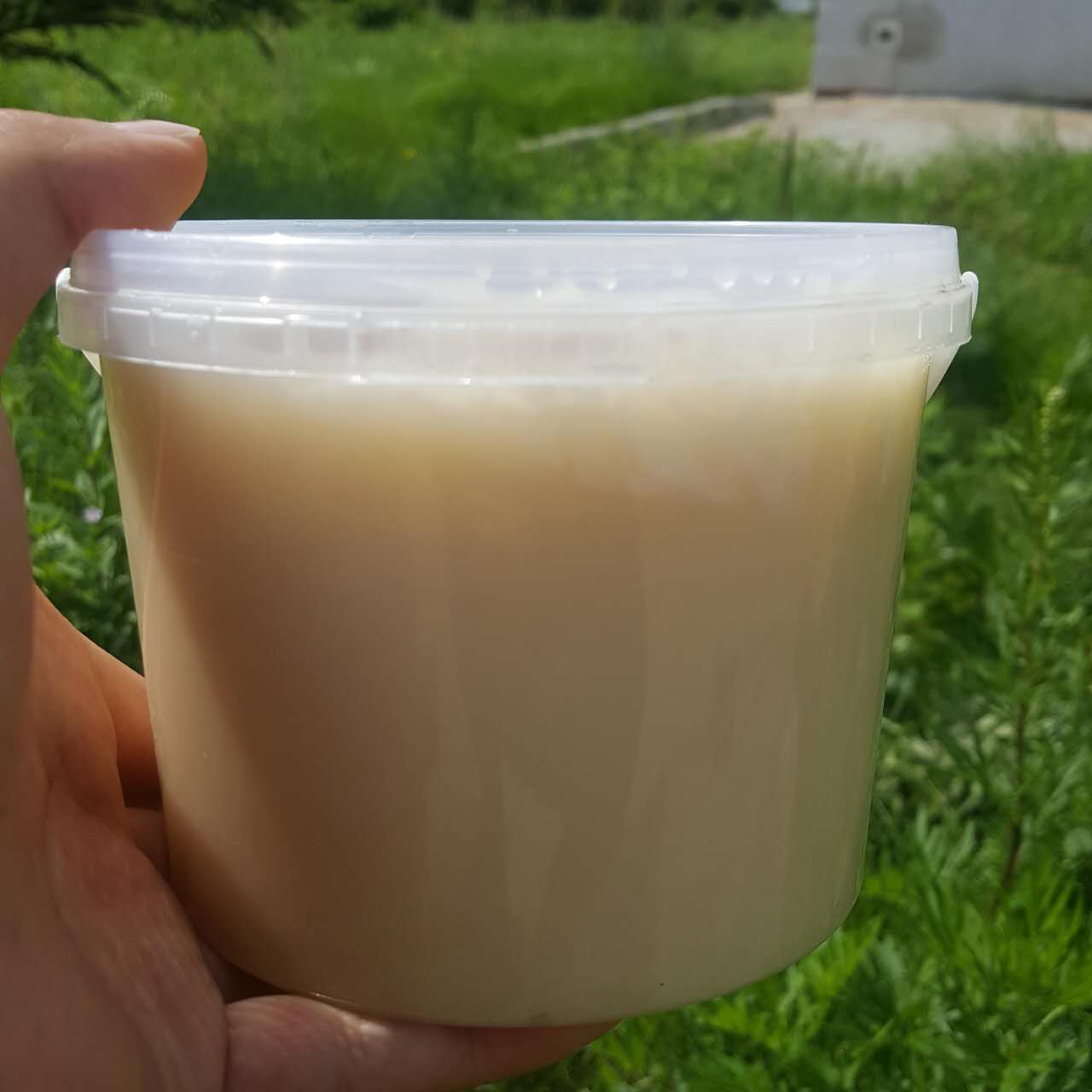 new goods Russia Original Tilia 1000g Production Crystallized honey Farm Addin the Traditional nourishing food , Honey category - from Buy2taobao.com to provide professional Taobao agent buy service