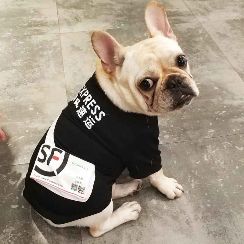 狗狗衣服春装 抖音同款顺风速运卫衣两脚 搞笑顺丰 法斗泰迪猫咪在类目 宠物/宠物食品及用品, 宠物服饰及配件, 宠物服装/雨衣中 - 来自Buy2taobao.com提供专业的淘宝代购服务